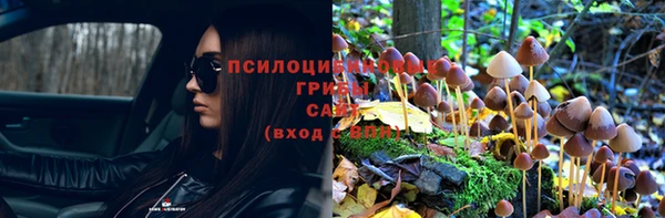 каннабис Заволжье