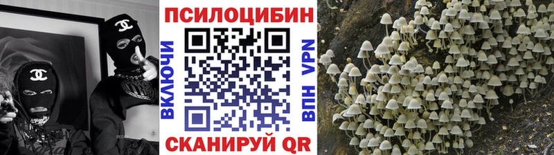 Псилоцибиновые грибы прущие грибы blacksprut Сасово