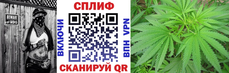 Каннабис Ganja Сасово